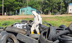 Levantamento monitora focos do mosquito da dengue