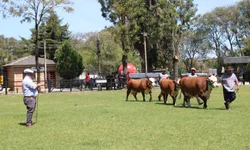 Bagé é destaque no calendário oficial de feiras agropecuárias