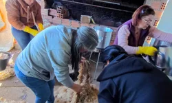 Melhorias na ERS-630