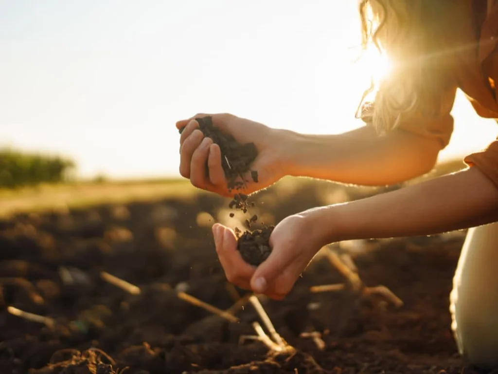 Hulha Negra sediará evento sobre conservação do solo