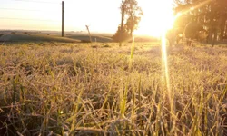 Violência contra idosos é crescente