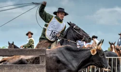 Crioulaço abre o calendário de finais da raça Crioula