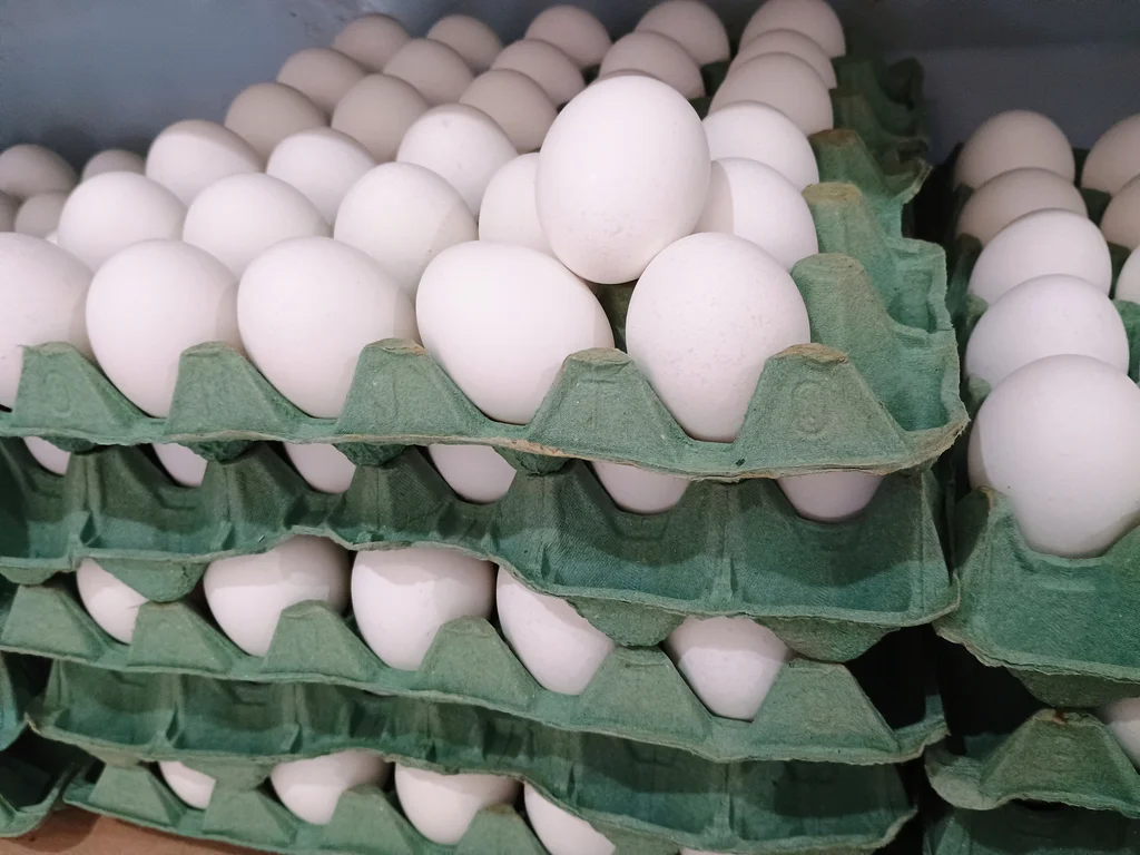 Preço médio da cesta de alimentos cai em agosto