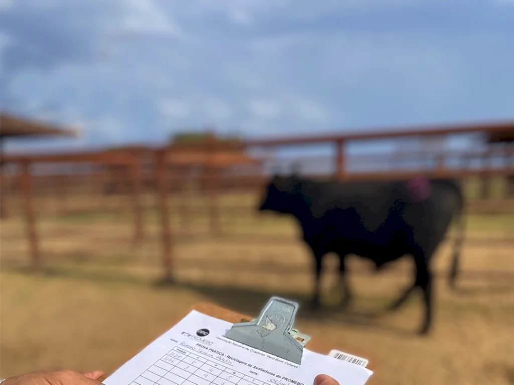 Número de animais avaliados no Promebo cresce 7%