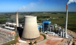 Corte de árvores em praça gera polêmica