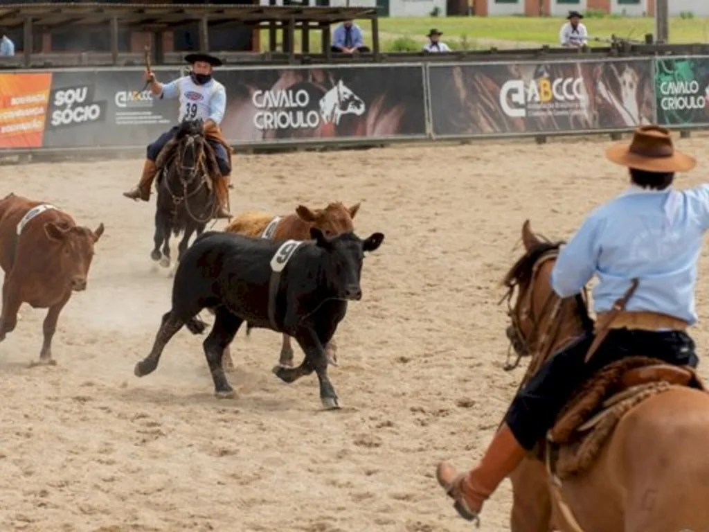 Aptidão vaqueira dos competidores é colocada a prova