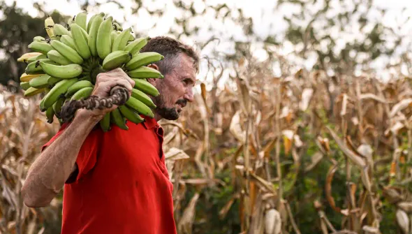 Câmara aprova uso de recursos do FGO em operações do Pronaf